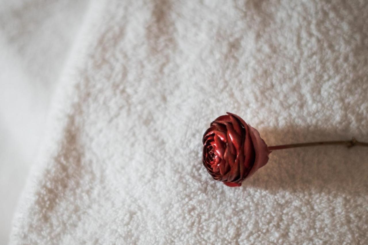 モンタルチーノ Dimora Delle Muse Bed & Breakfast エクステリア 写真